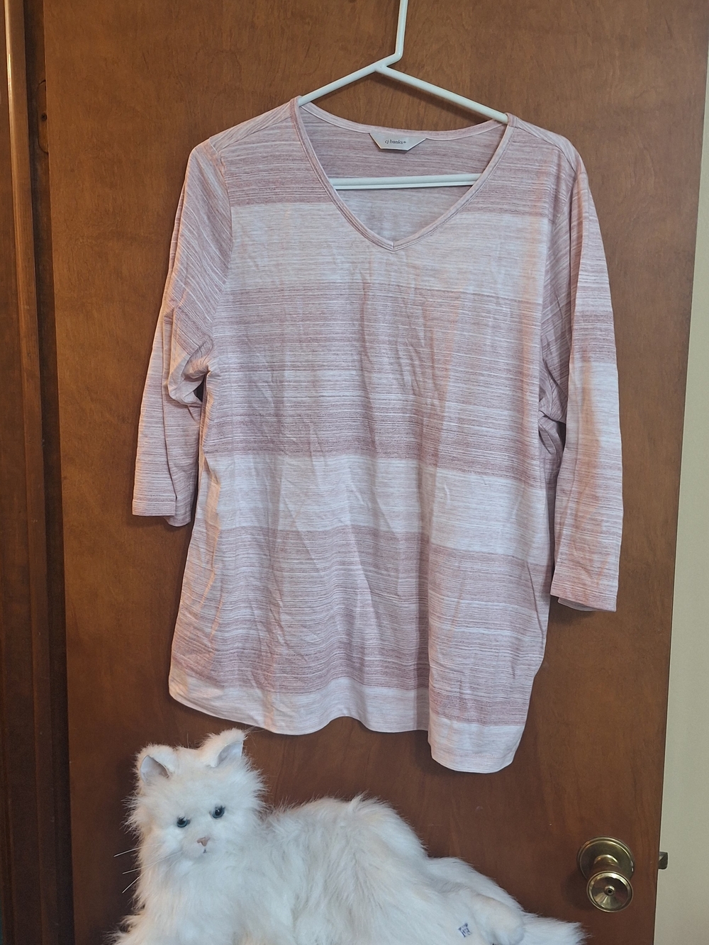 Relaxed V-Neck Long Sleeve Tee - Light Blush Stripe
